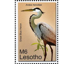 Great Blue Heron (Ardea herodias) - South Africa / Lesotho 2007 - 6