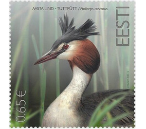 Great Crested Grebe (Podiceps cristatus) - Estonia 2020 - 0.65