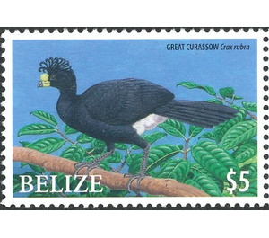 Great Curassow    Crax rubra - Central America / Belize 2009 - 5