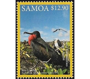 Great Frigatebird (Fregata minor) - Polynesia / Samoa 2016 - 12.90