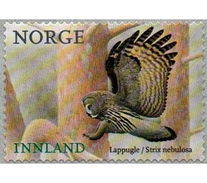 Great Gray Owl (Strix nebulosa) - Norway 2018