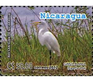 Great White Egret (Ardea alba) - Central America / Nicaragua 2012 - 50