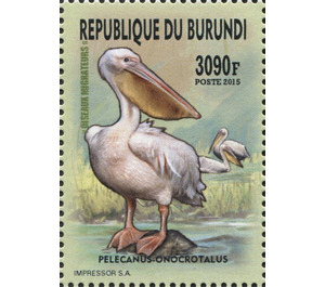 Great White Pelican (Pelecanus onocrotalus) - East Africa / Burundi 2016