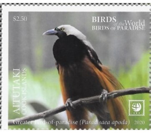 Greater Bird of Paradise (Paradisaea apoda) - Aitutaki 2020 - 2.50