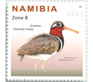 Greater Painted-Snipe (Rostratula benghalensis) - South Africa / Namibia 2021