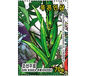 Green Beans - North Korea 2020 - 70