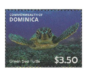Green Sea Turtle (Chelonia mydas) - Caribbean / Dominica 2014 - 3.50
