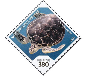 Green Sea Turtle (Chelonia mydas) - South Korea 2021 - 380
