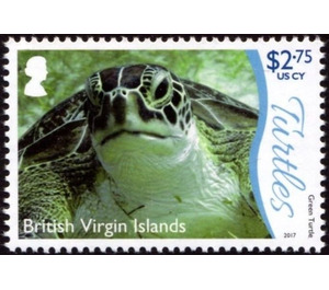 green Turtle - Caribbean / British Virgin Islands 2017 - 2.75