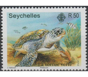 Green Turtle - East Africa / Seychelles 2014 - 50