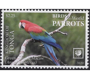 Green-Winged Macaw (Ara chloropterus) - Polynesia / Tonga 2020