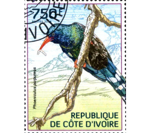 Green Woodhoopoe (Phoeniculus purpureus) - West Africa / Ivory Coast 2014 - 750