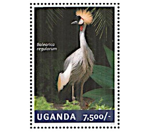 Grey Crowned Crane (Balearica regulorum) - East Africa / Uganda 2014