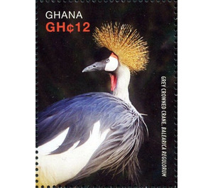 Grey Crowned Crane (Balearica regulorum) - West Africa / Ghana 2016 - 12