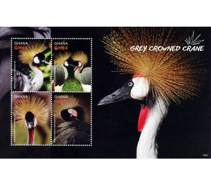 Grey Crowned Crane (Balearica regulorum) - West Africa / Ghana 2016