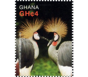 Grey Crowned Crane (Balearica regulorum) - West Africa / Ghana 2016 - 4