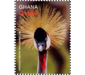 Grey Crowned Crane (Balearica regulorum) - West Africa / Ghana 2016 - 4