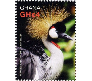 Grey Crowned Crane (Balearica regulorum) - West Africa / Ghana 2016 - 4