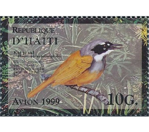 Grey-crowned Palm-tanager (Phaenicophilus poliocephalus) - Caribbean / Haiti 1999 - 10