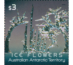 Grey-green Ice Flower Embossed With Foil Application - Australian Antarctic Territory 2016 - 3