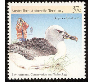 Grey-headed Albatross (Thalassarche chrysostoma), Photograph - Australian Antarctic Territory 1988 - 37