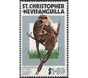 Grivet (Cercopithecus aethiops) - Caribbean / Saint Kitts and Nevis 1978 - 1.50