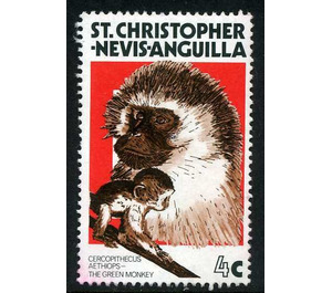 Grivet (Cercopithecus aethiops) - Caribbean / Saint Kitts and Nevis 1978 - 4