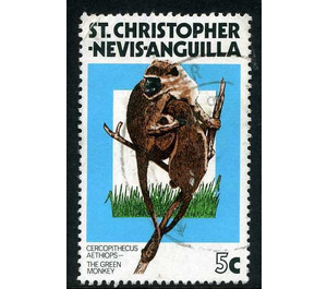 Grivet (Cercopithecus aethiops) - Caribbean / Saint Kitts and Nevis 1978 - 5