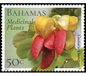 Guaiacum sanctum - Caribbean / Bahamas 2020 - 50