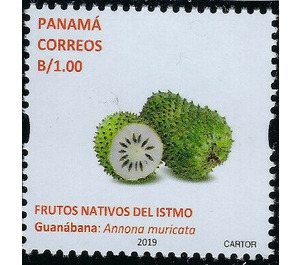 Guanabana (Annona muricata) - Central America / Panama 2019 - 1