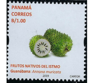 Guanabana (Annona muricata) - Central America / Panama 2019 - 1