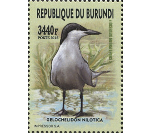 Gull-billed Tern (Gelochelidon nilotica) - East Africa / Burundi 2016