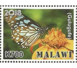 Gulugufe - East Africa / Malawi 2019 - 700