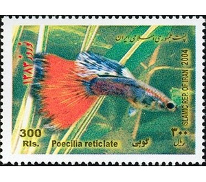 Guppy (Poecilia reticulata) - Iran 2004 - 300