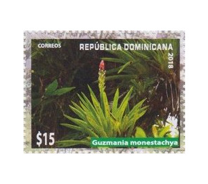 Guzmania monestachya - Caribbean / Dominican Republic 2019 - 15