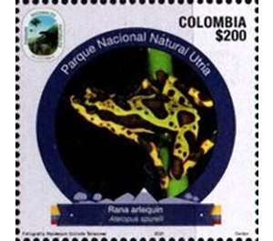 Harlequin Frog (Atelopus sp.) - South America / Colombia 2021