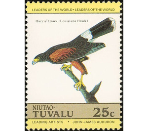 Harris's Hawk (Parabuteo unicinctus) - Polynesia / Tuvalu, Niutao 1985