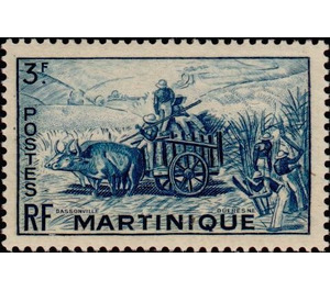 Harvesting sugar cane - Caribbean / Martinique 1947 - 3