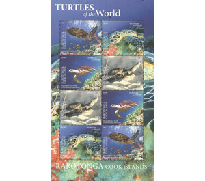Hawksbill Sea Turtle (Eretmochelys imbricata) - Cook Islands, Rarotonga 2020