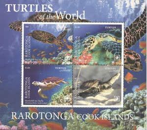 Hawksbill Sea Turtle (Eretmochelys imbricata) - Cook Islands, Rarotonga 2020