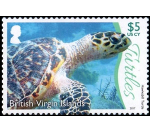 Hawksbill Turtle - Caribbean / British Virgin Islands 2017 - 5
