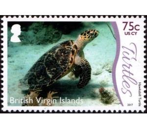 Hawksbill Turtle - Caribbean / British Virgin Islands 2017 - 75