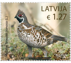 Hazel Grouse (Tetrastes bonasia) - Latvia 2019 - 1.27