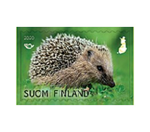 Hedgehog - Finland 2020