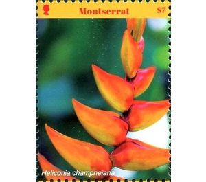 Heliconia champneiana - Caribbean / Montserrat 2017 - 7