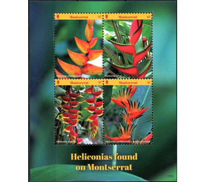 Heliconias - Caribbean / Montserrat 2017