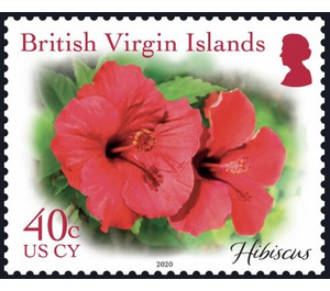 Hibiscus - Caribbean / British Virgin Islands 2019 - 40