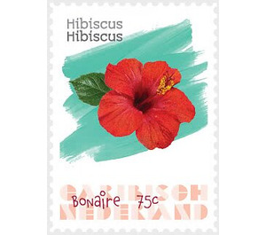 Hibiscus (Hibiscus sp) - Caribbean / Bonaire 2020 - 75