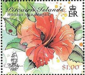 Hibiscus Rosa Sinensis - Polynesia / Pitcairn Islands 2018