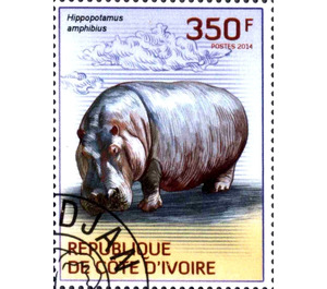 Hippopotamus (Hippopotamus amphibius) - West Africa / Ivory Coast 2014 - 350